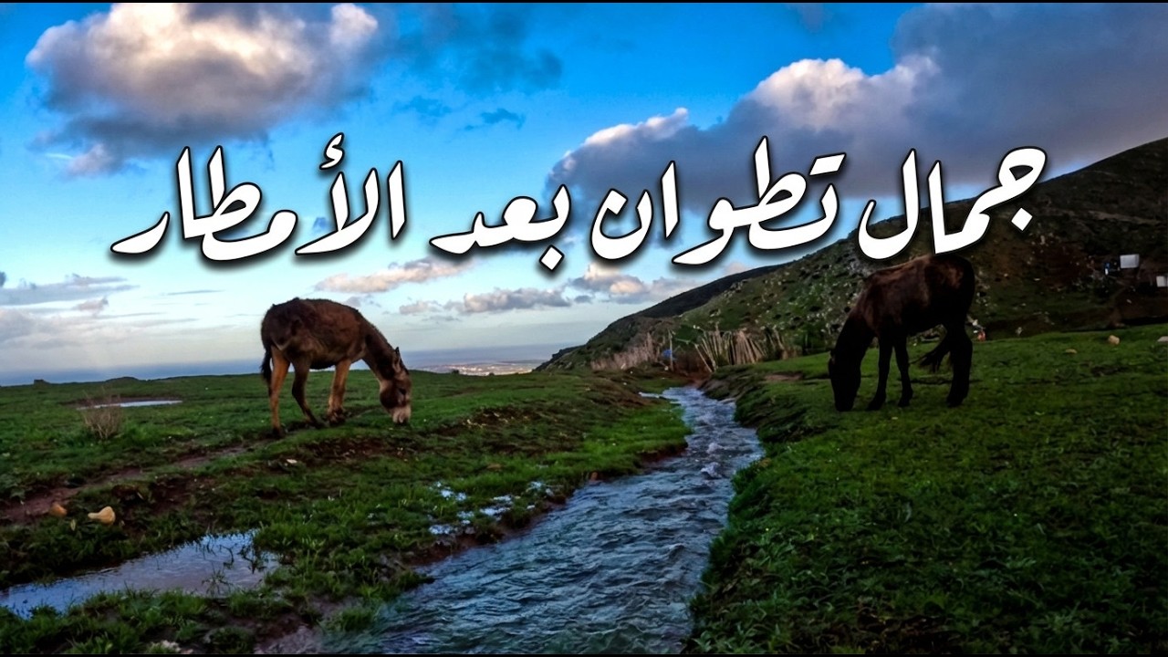جمال تطوان بعد الأمطار | Tetouan Mountains After the Rain 🌧️🌿