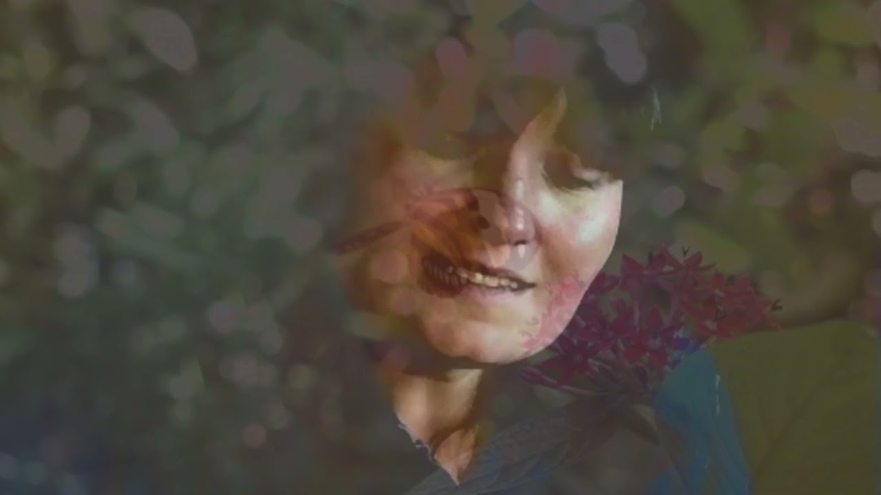 SuuS - Verdronken Vlinder (cover)