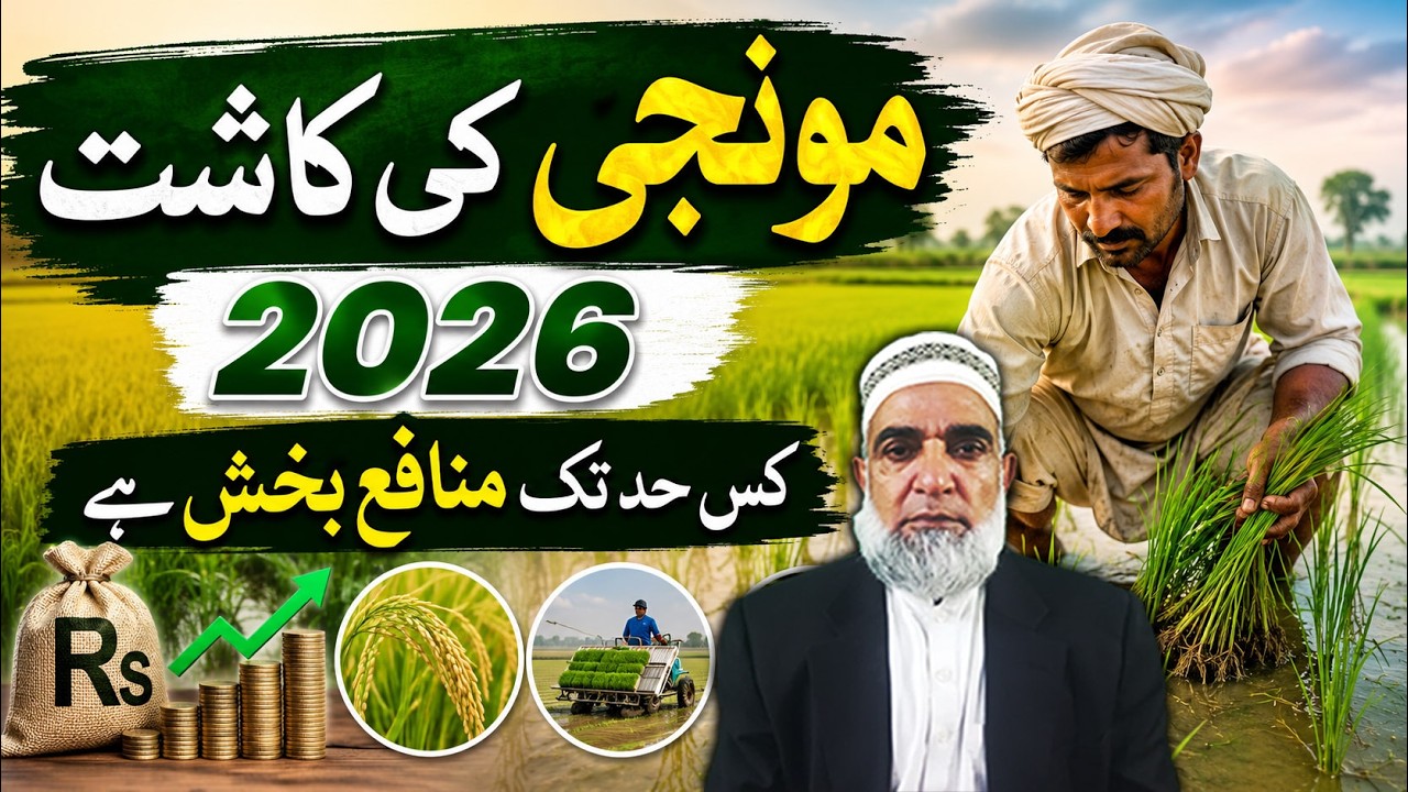 Rice Farming 2026: Is Rice Cultivation Still Profitable || Crop Reformer