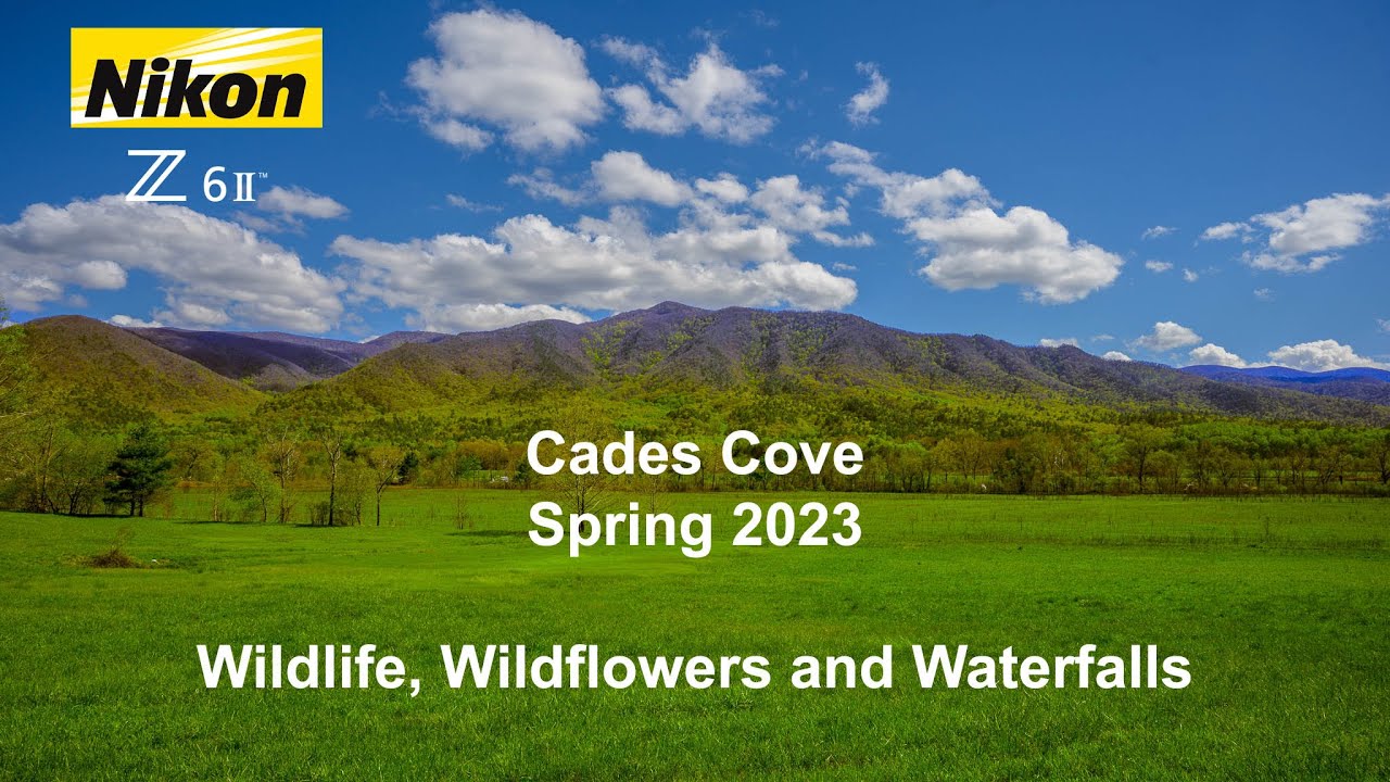 Cades Cove Wildlife, Wildflower and Waterfall Photography - Long Version