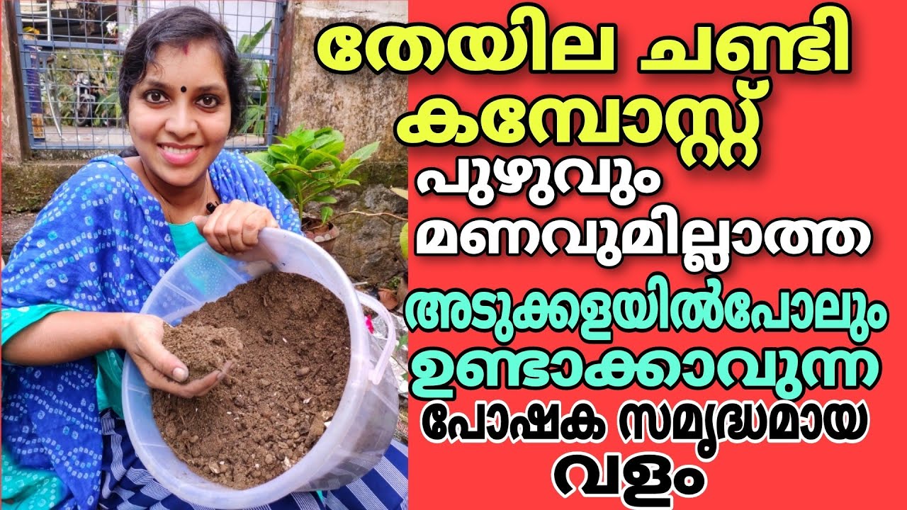 തേയില ചണ്ടി കമ്പോസ്റ്റ് |പോഷക സമ്പുഷ്ടമായ വളം | How to make Tea waste compost at home | compost |