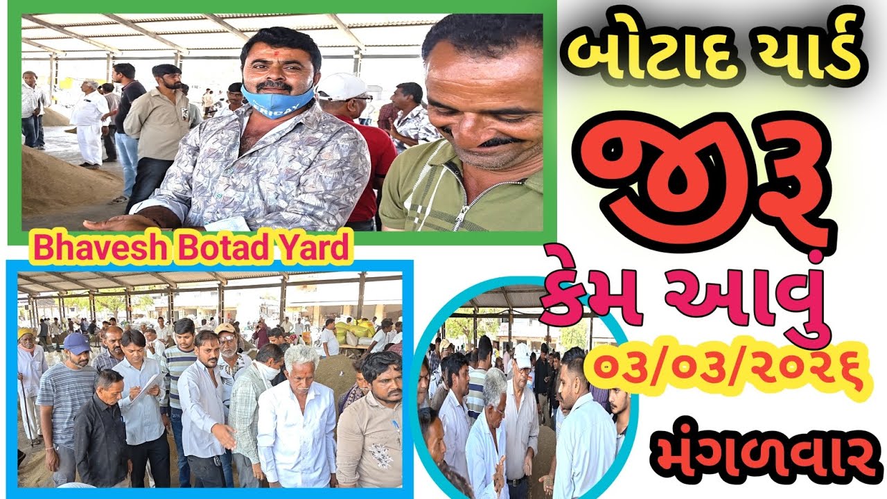 જીરા ના ભાવ બોટાદ માર્કેટિંગ યાર્ડ 03/03/2026 ||Botad Marketing Yard || #bhaveshbotadyard