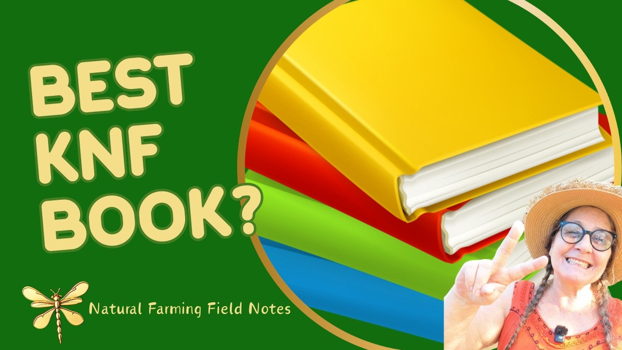 Want to Learn KNF? Here is the Absolute Best Book to Start