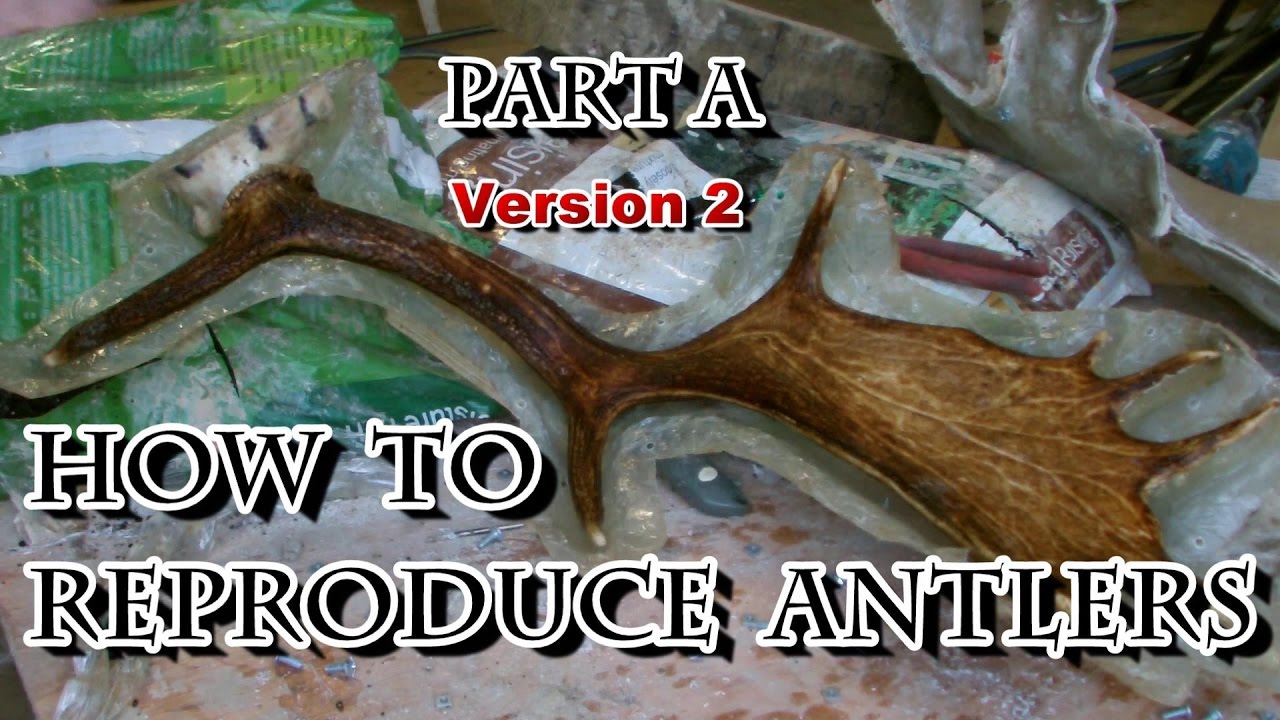 How to Reproduce Deer Antlers - part A
