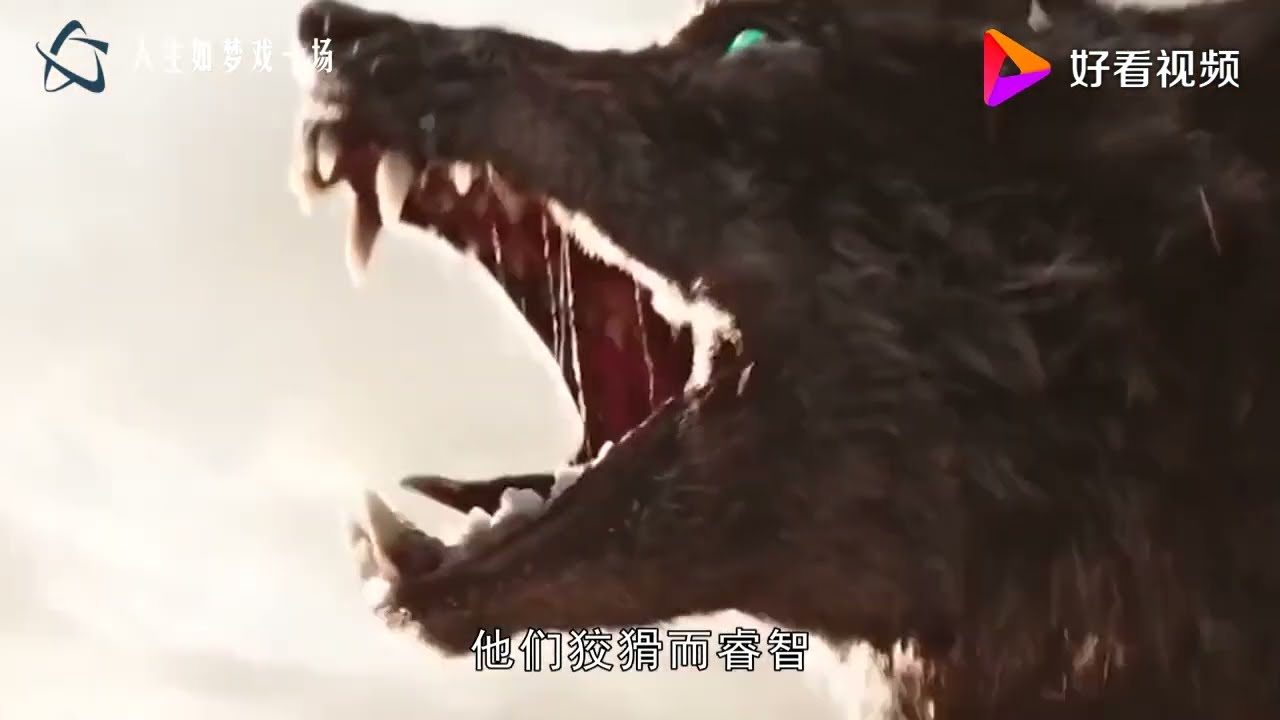 上古巨狼？西伯利亚地区发现4万年前狼头，是现代灰狼的两倍长