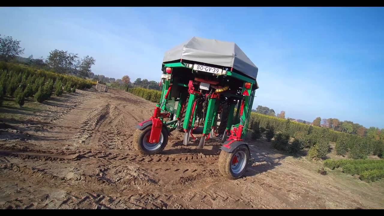 leuveld Boomkwekerijen te Denekamp