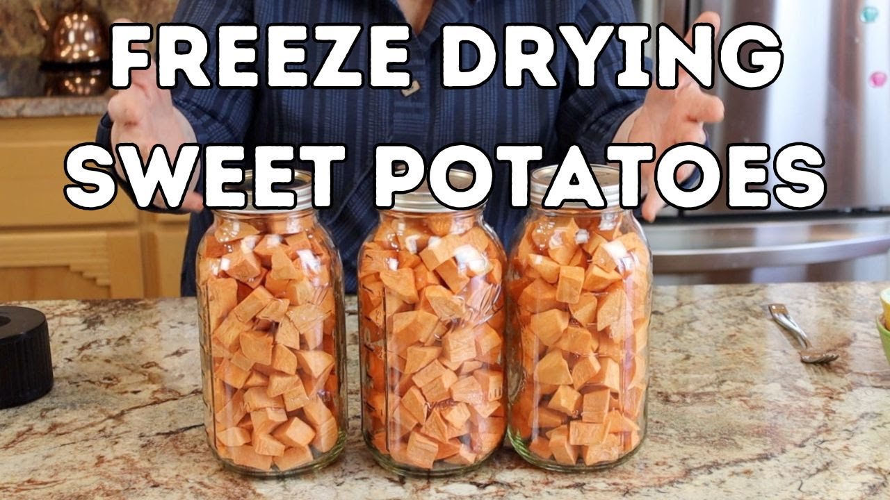 Freeze Drying Sweet Potatoes