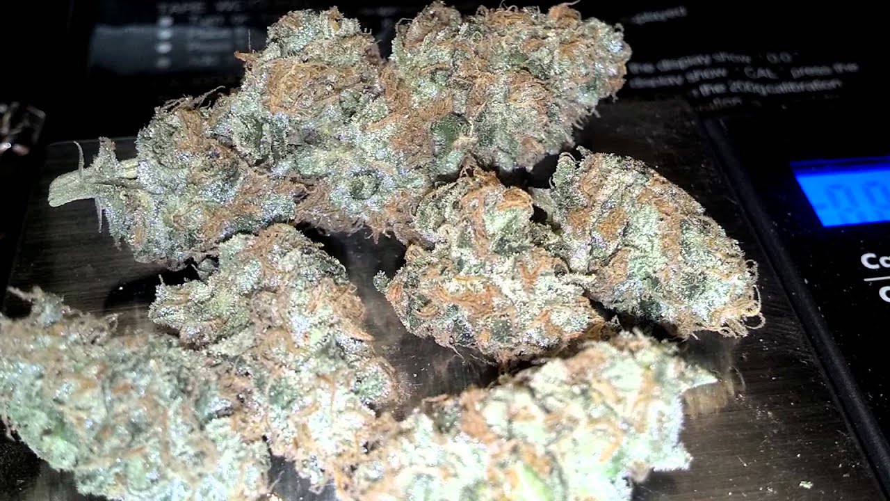 BoG Sour Bubble [ShowCase]