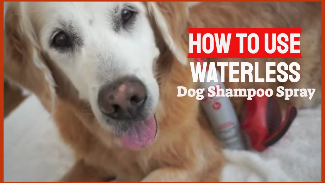 How to use CHI for Dogs Waterless Dog Shampoo Spray