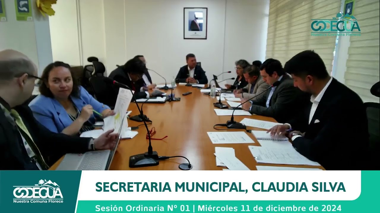 Concejo Municipal N°001