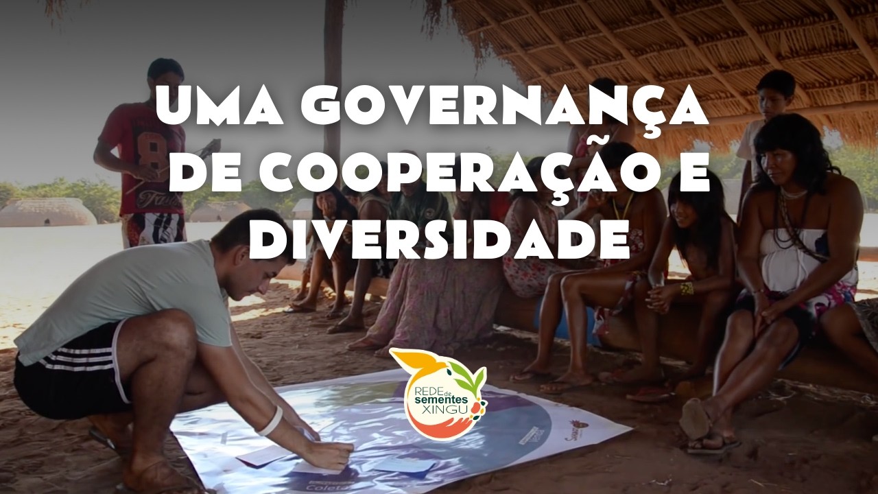Como a Rede de Sementes do Xingu é organizada?