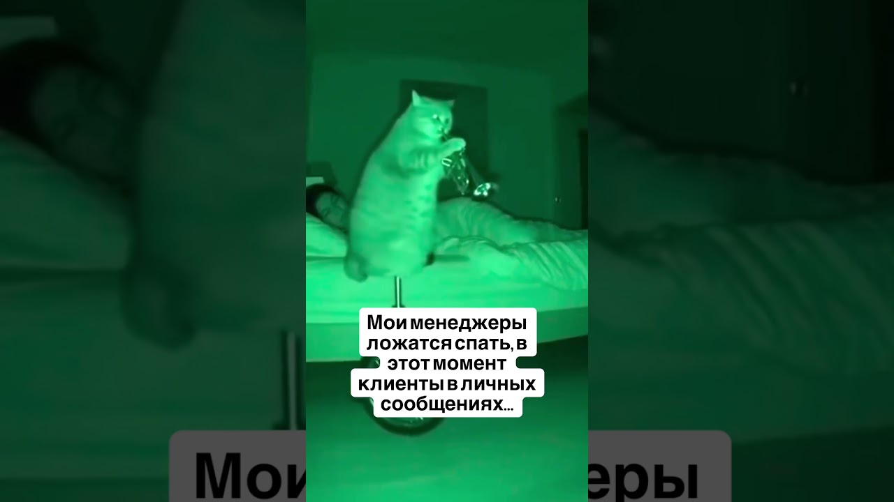 Как только мои менеджеры идут спать #отделпродаж #продажи #маркетинг #бизнес