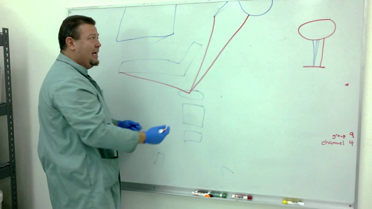 Dr  Preddy -  Neck Muscles