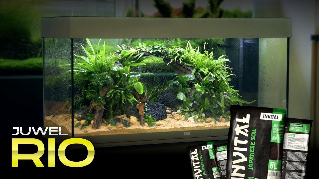 Einrichten eines JUWEL RIO Aquariums mit Substrat INVITAL Japanese soil | INVITAL
