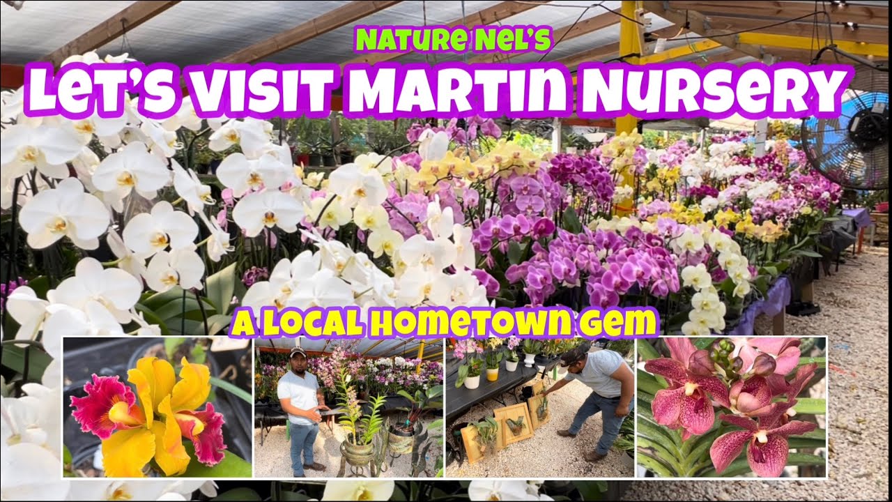 Come with me to a local plant and orchid nursery in Redland, Florida. A wonderful little hidden gem.
