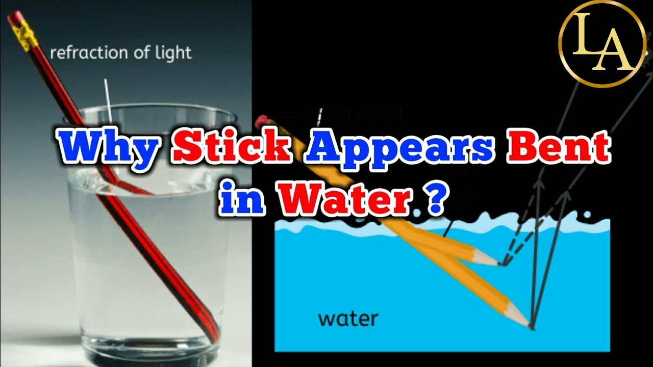Why Pencil Appears to be Bend When Immersed in Water | Application of Refraction | Class 10 Physics