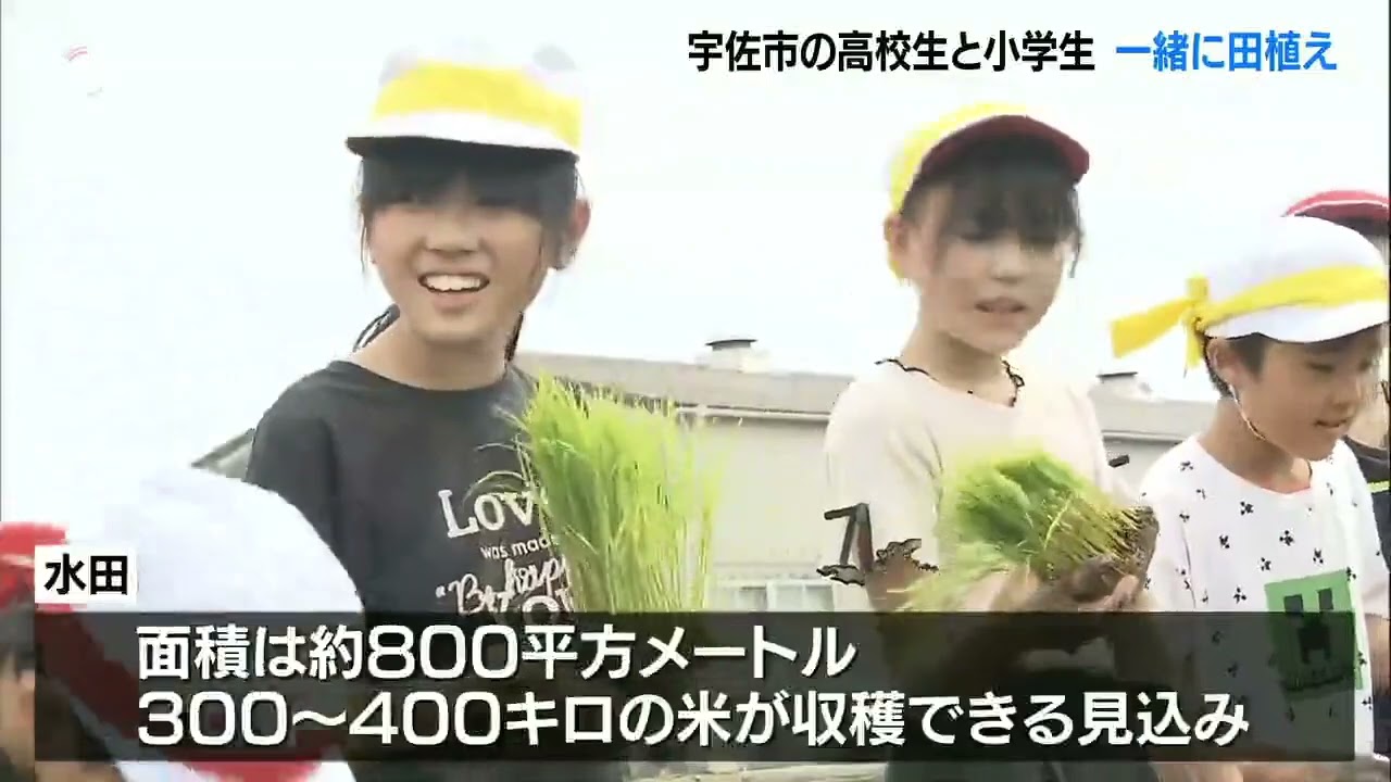 「田植え」特別授業　宇佐産業科学高校の生徒と小学生が苗植え