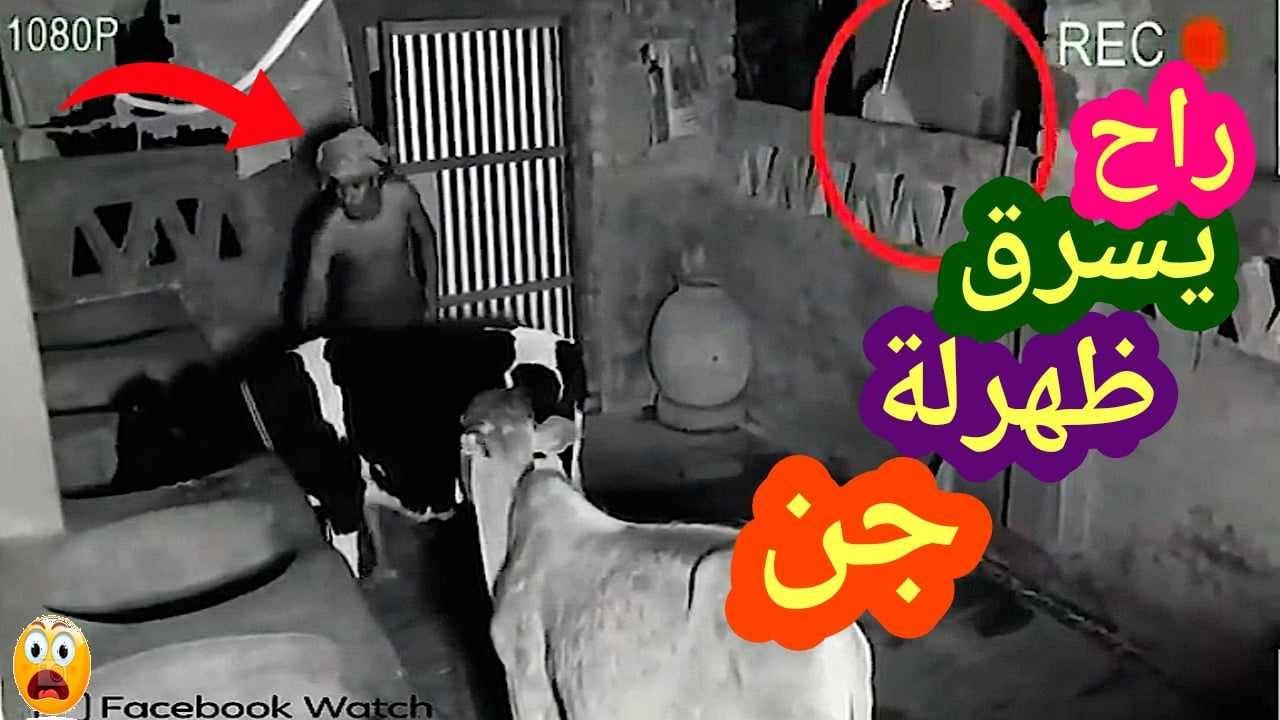 راح يسرق ظهرلة جن 😱 لو لم تصورها الكاميرات لما صدقها أحد