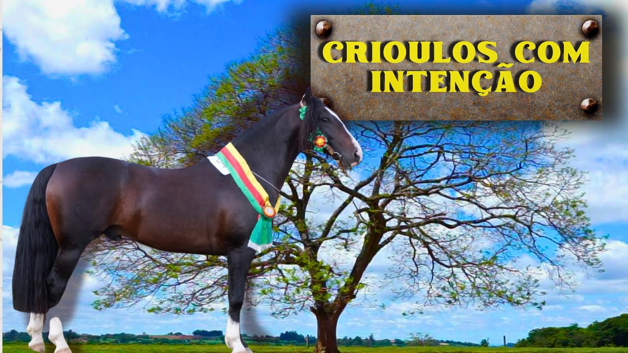 JESTO AGRO amor pelos cavalos e pela terra
