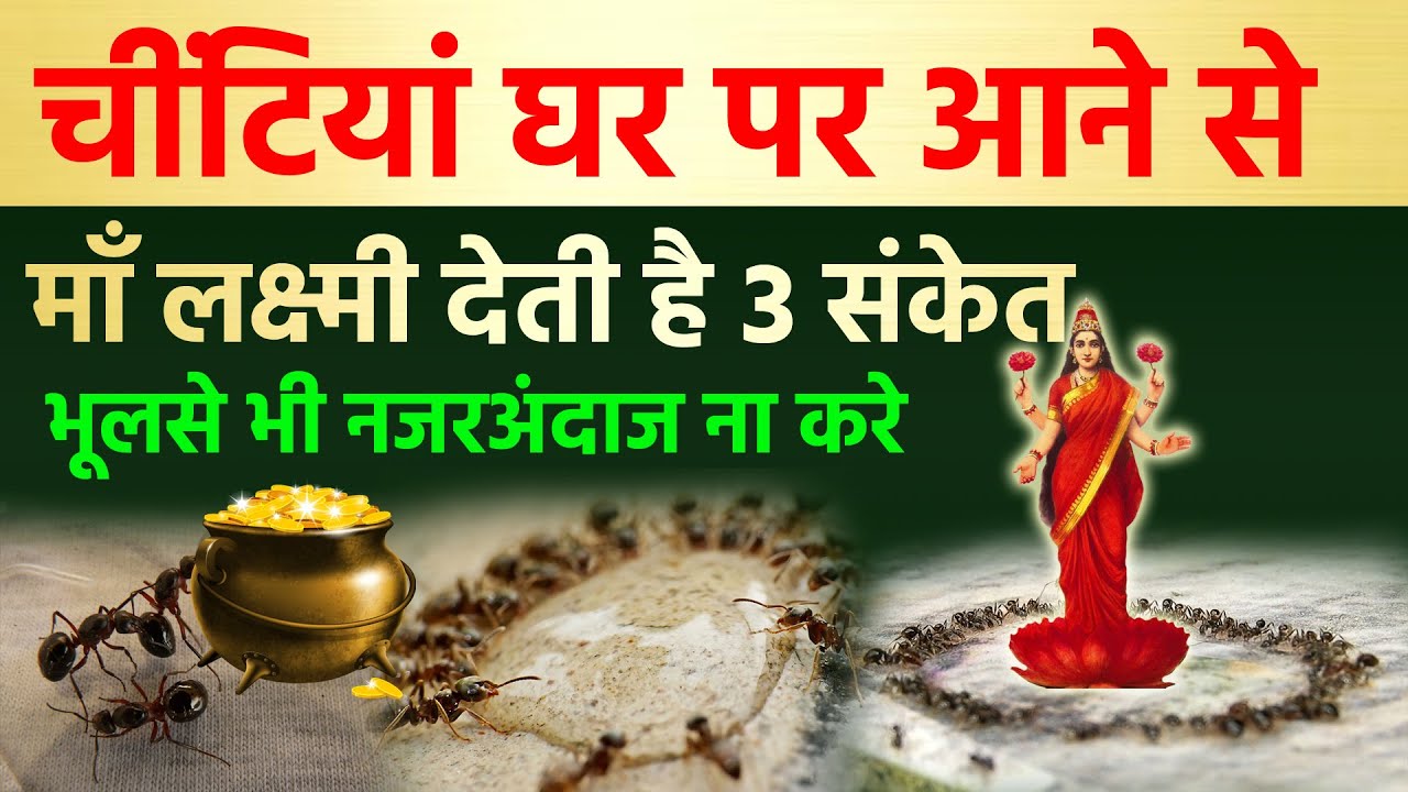 चींटियां घर पर आने से माँ लक्ष्मी देती है 3 संकेत दुर्लक्ष ना करे | Vastu tips Ants