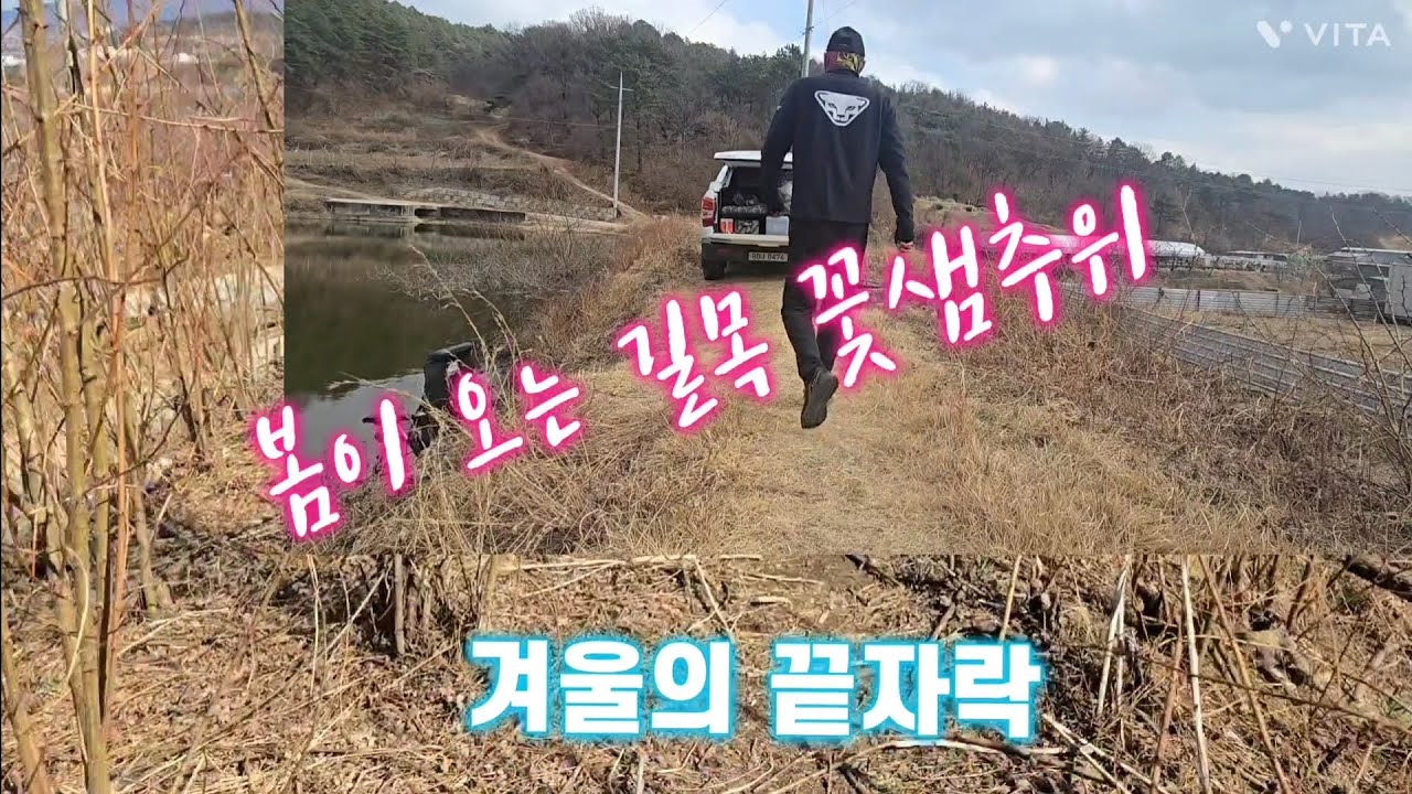 (수정) 봄이오는 길목에서 꽃샘추위의 붕어들#수초의달인 #아트류해용 