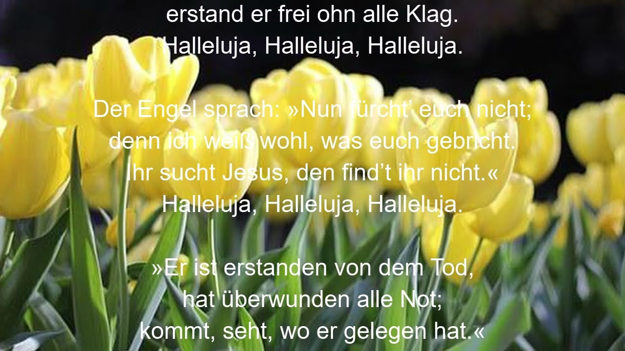 EG 103 - Gelobt sei Gott im höchsten Thron