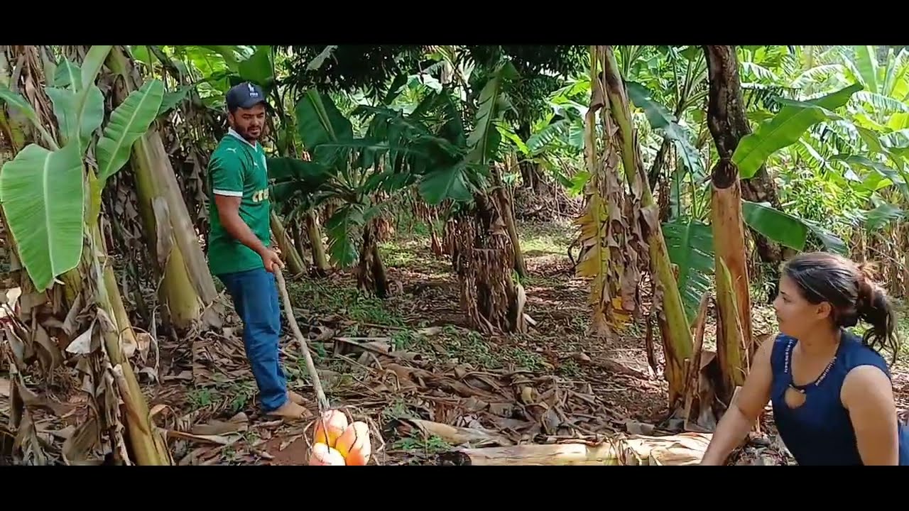 FUI BUSCAR UMAS MANGA E UMAS BANANAS NA RAINHA PARA DONA LEU 