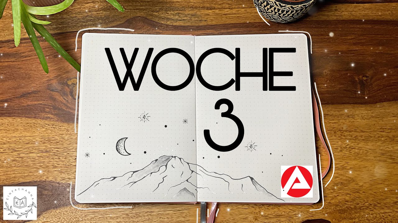 Hartz 4 Experiment✨|Check-in 3 ❄️|Geld sparen☃️|EinfachAnna