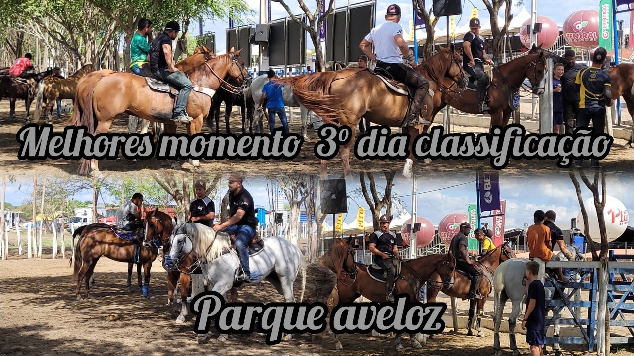 MELHORES MOMENTOS DO 3° DIA CLASSIFICAÇÃO PROFISSIONAL PARQUE AVELOZ CAMPEONATO PE PB 2025