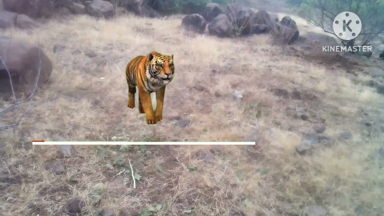 सागर दादा  Sagar Dada