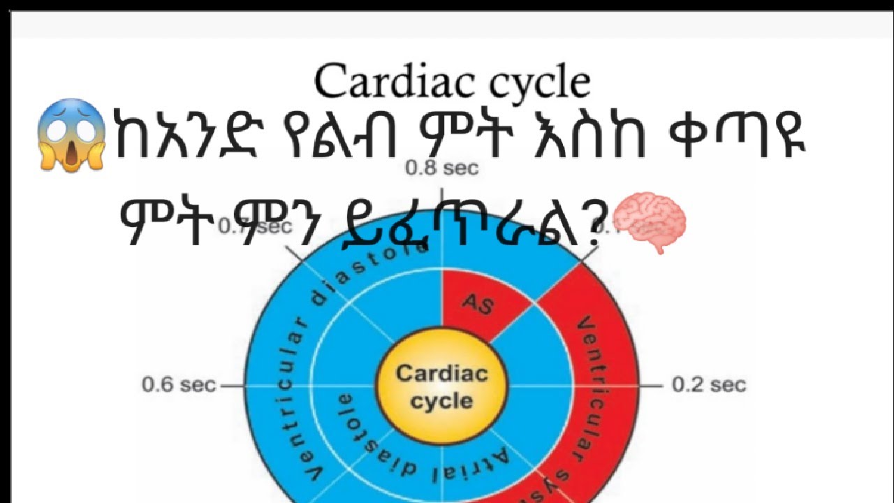 Cardiac cycle  😱ከአንድ የልብ ምት እስከ ቀጣዩ የልብ ምት ድረስ የሚፈጠሩ ክስተቶች? 🧠   #ስለ ልብ በአማርኛ ክፍል 8#👌👌