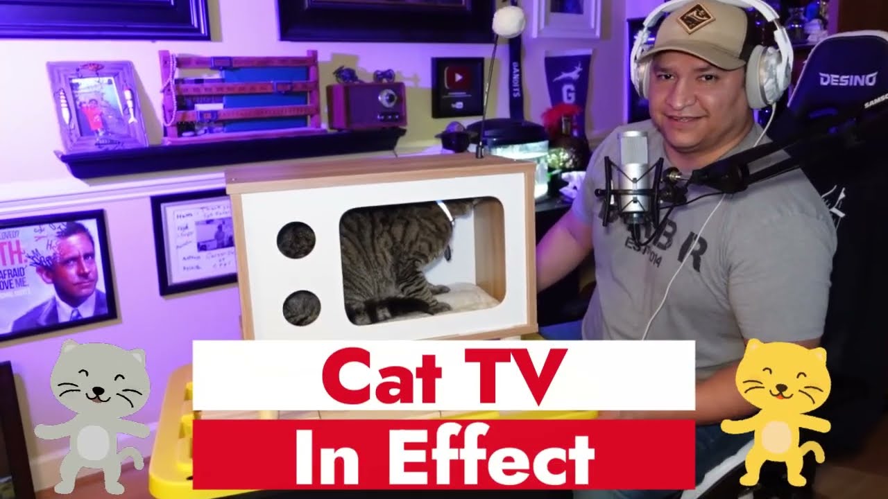 Purr-View Retro TV Cat Condo Unboxing & Review
