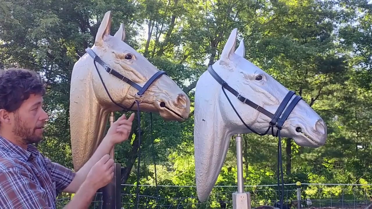 Ultimate Bitless Bridle vs Dr Cook, Double vs Single Crossunder Strap system