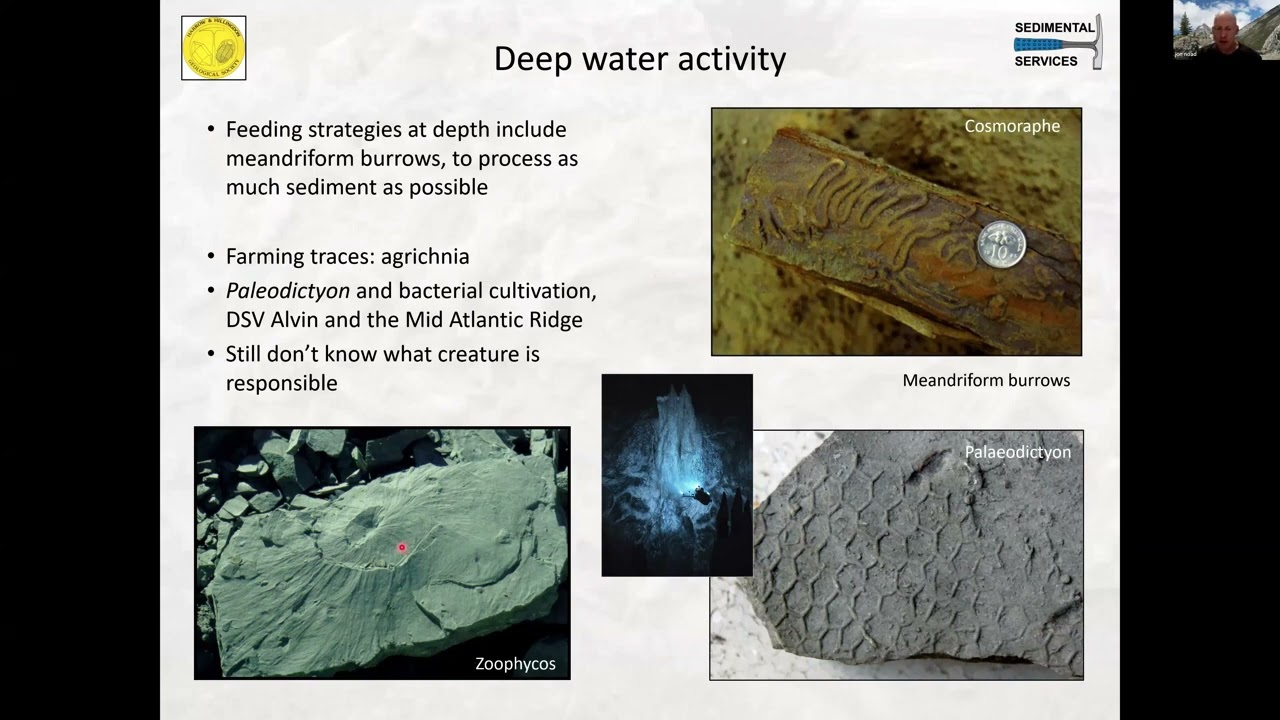 Trace Fossils 1 (Jon Noad)