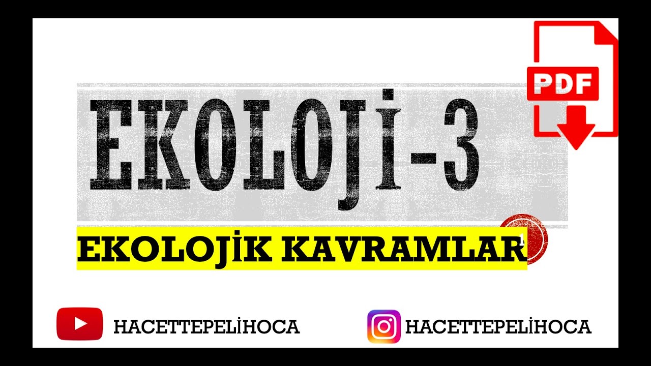 118 | EKOLOJİ 3 | EKOLOJİİL İLGİLİ KAVRAMLAR | 10. SINIF| TYT | #hacettepelihoca