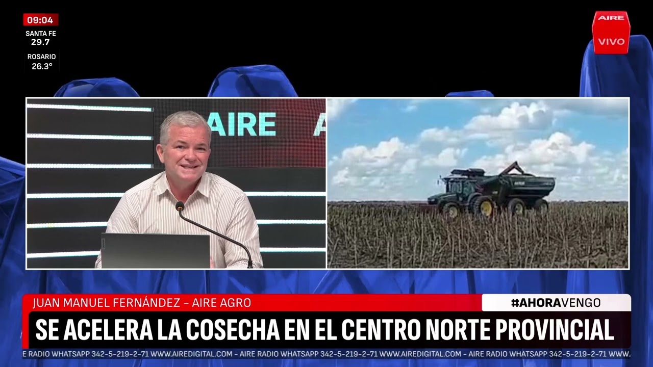 Suben la soja y el girasol muestra rindes récord en Santa Fe: el repaso del mercado agro