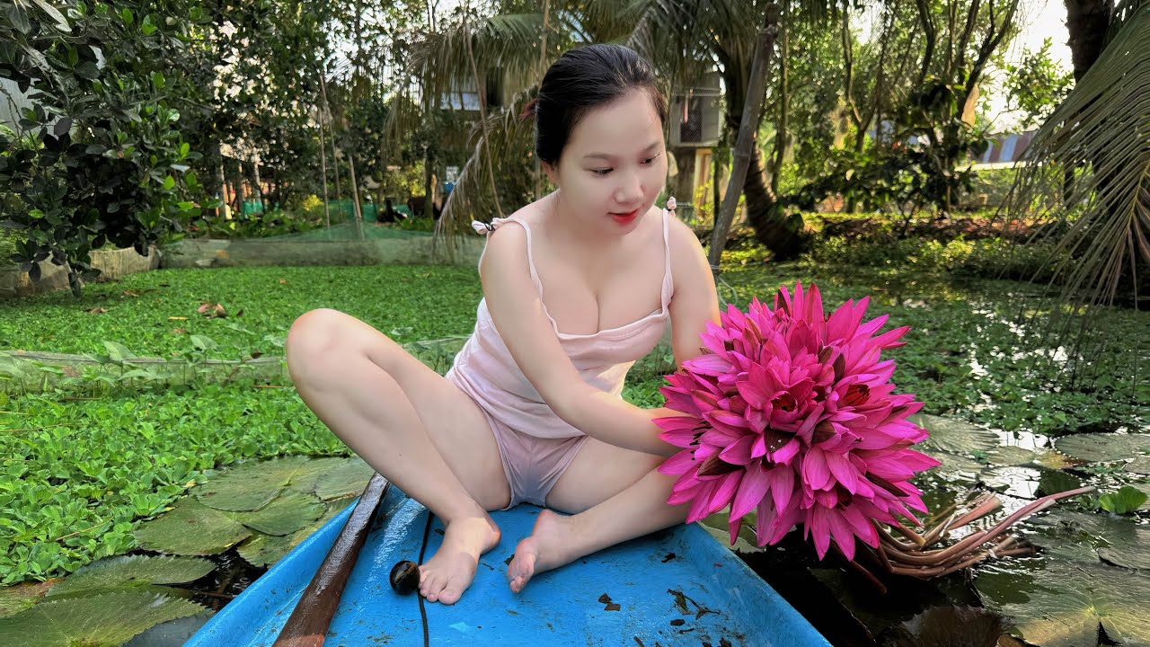 Một Buổi Sáng Yên Bình – Hái Bông Súng Nở Hoa Đầy Dưới Hầm Nhỏ | TTMT#285 