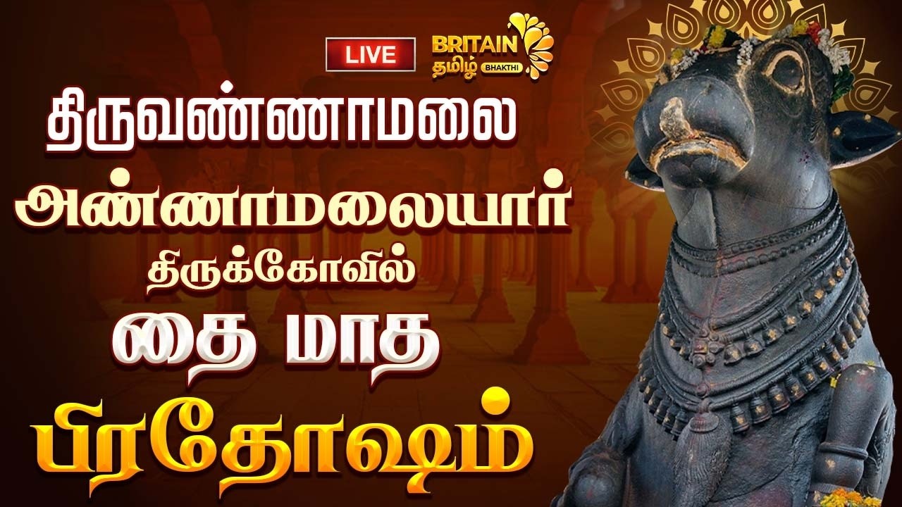 🔴LIVE - திருவண்ணாமலை - அண்ணாமலையார் திருக்கோயில் - பிரதோஷம் | Thiruvannamalai Pradosham