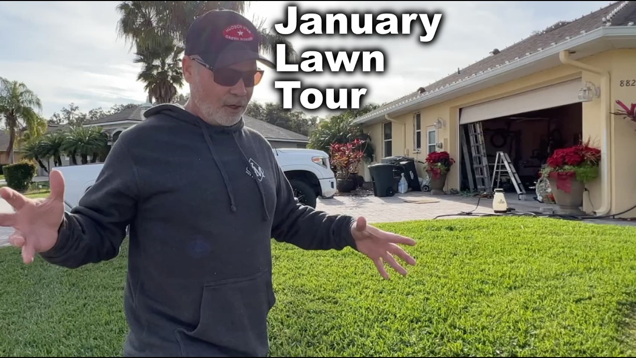 ProVista Weed Control and Fert // January Lawn Tour - All Around My Yard