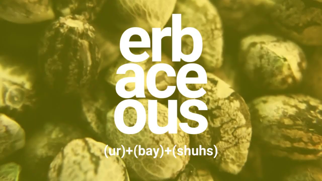 erbaceous&trade; Cannabis Seed by CanGenX&trade; BioTech