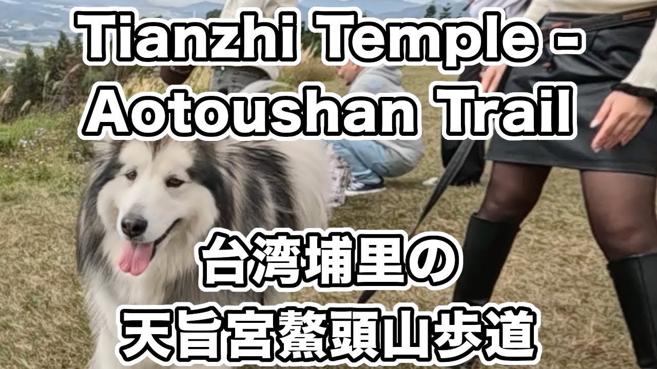 Day 102 of Travel(19) 7 Feb. 2026 Tianzhi Temple - Aotoushan Trail