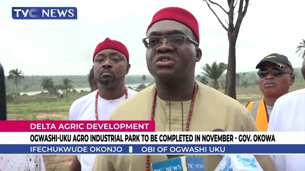 Ogwashi-Uku Agro-Industrial Park To Be Completed In November - Gov  Okowa