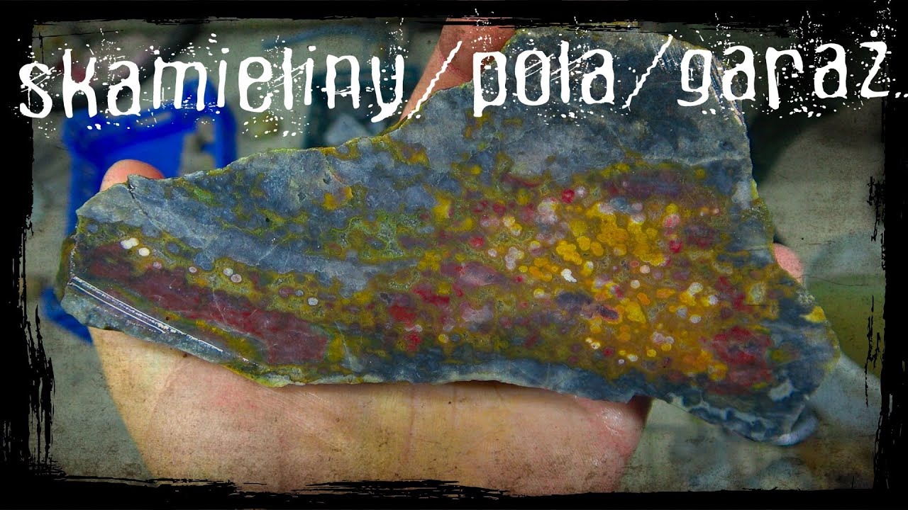 W poszukiwaniu skarbów natury - Skamieliny / Pola / Garaż