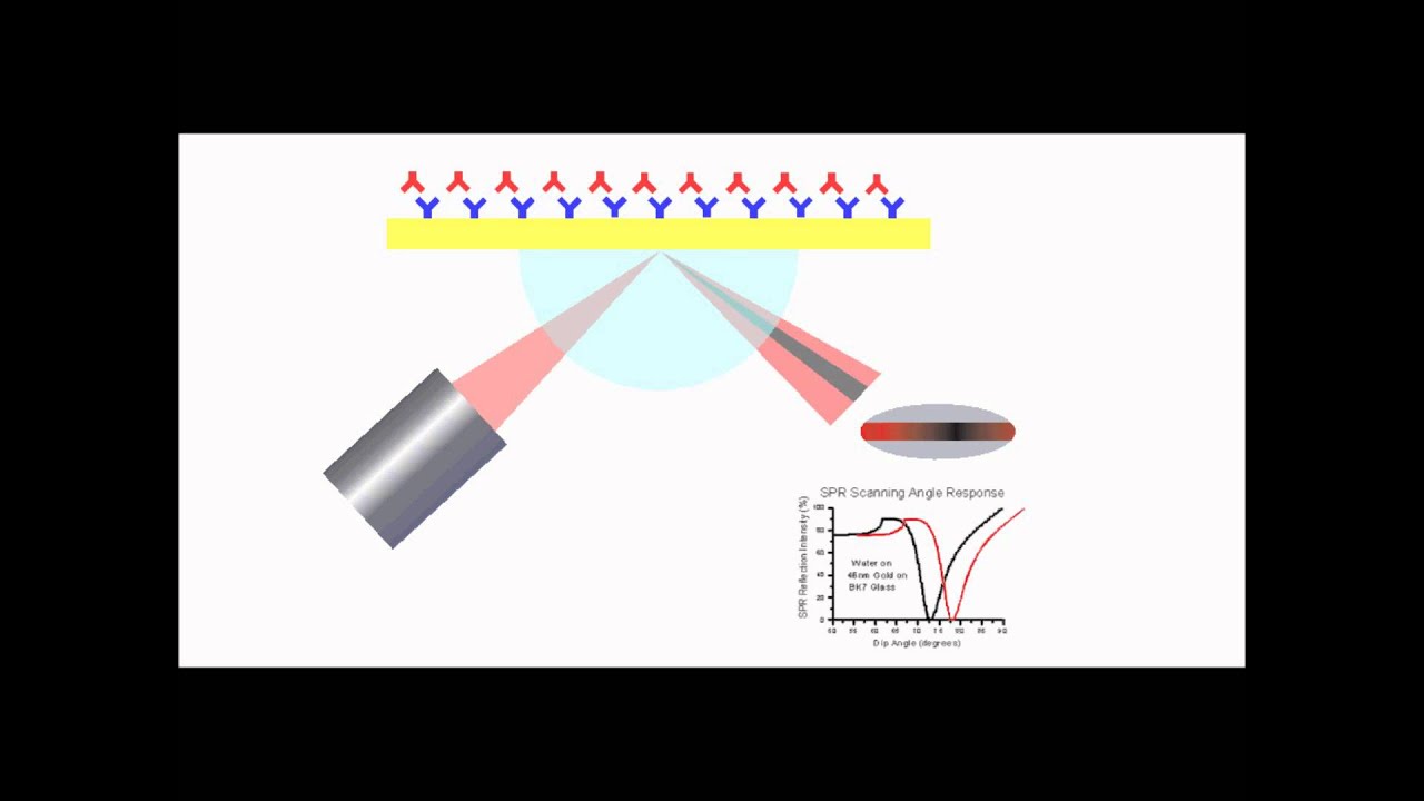 Surface Plasmon Resonance Explained