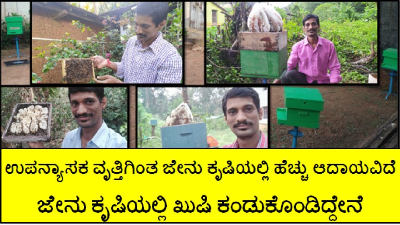 ಉಪನ್ಯಾಸಕನಾಗಿ ಬಿಡುವಿನ ಸಮಯದಲ್ಲಿ ಜೇನು ಕೃಷಿಯಿಂದ ಉತ್ತಮ ಆದಾಯ ಪಡೆದು ಖುಷಿಯನ್ನು ಕಂಡುಕೊಂಡಿದ್ದೇನೆ (E-01)
