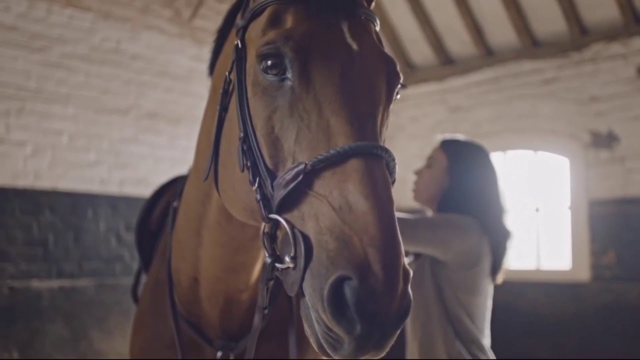Señorita || Show Jumping Music Video