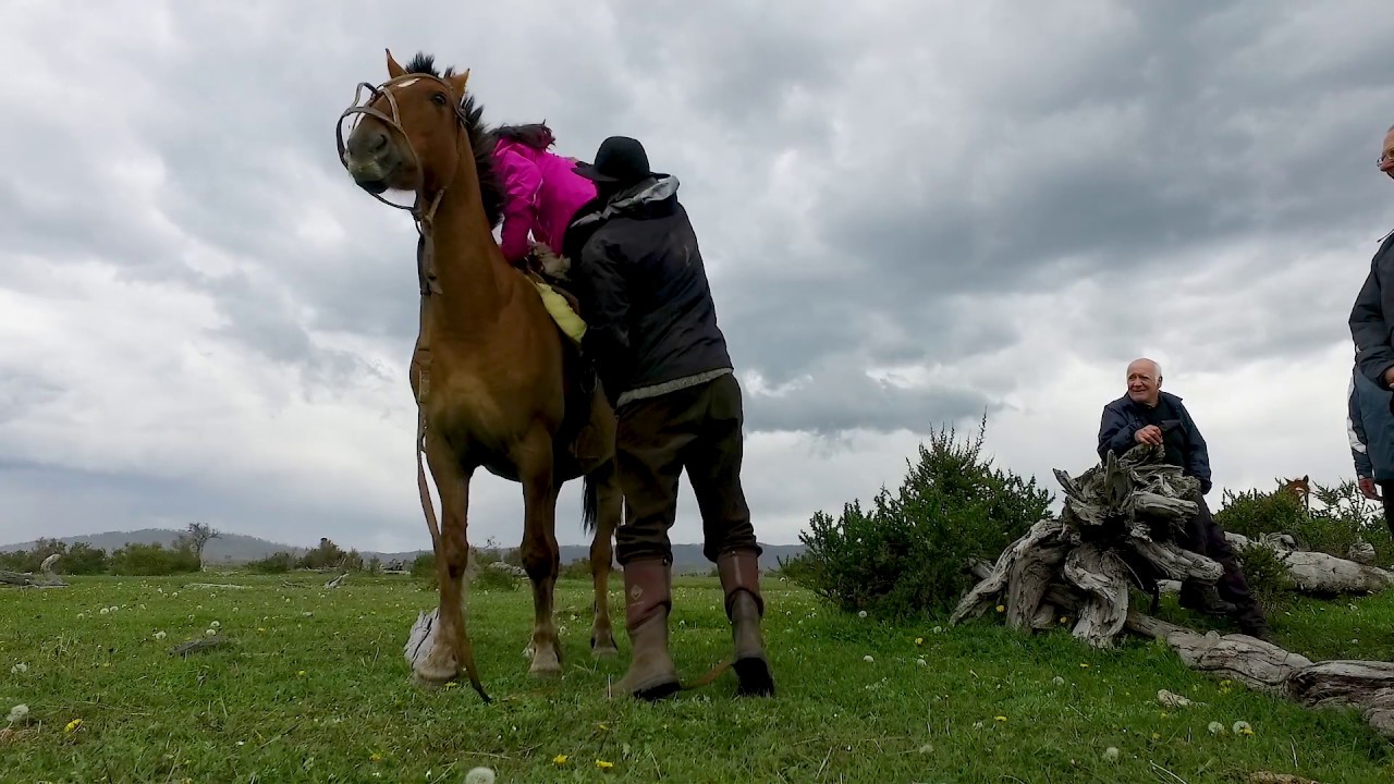 Horse Expedition Peninsula Mitre, Tierra del Fuego
