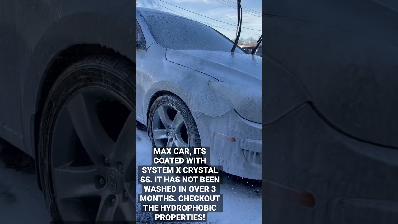 System X Ceramic Coating - Over 3 months no car wash #systemx #ceramiccoating #ceramics #willdetails