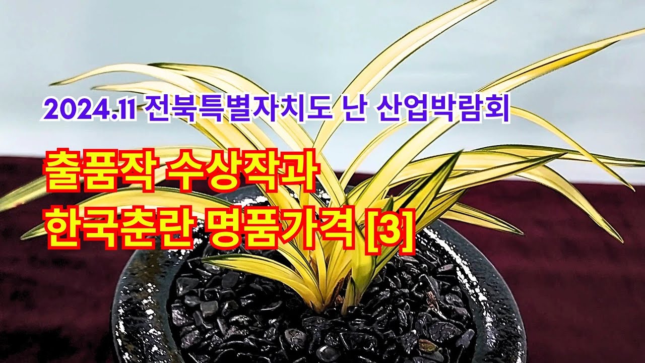 전북 난산업박람회 출품작과 수상작 한국춘란 판매가격[3]