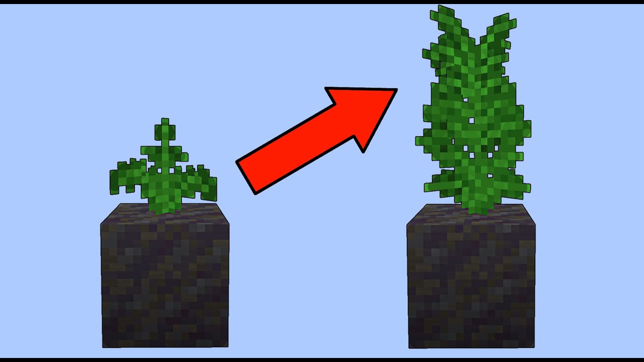 Easy Fern Farm Minecraft (10,000 fern/hr) + TUTORIAL [STILL WORKS]